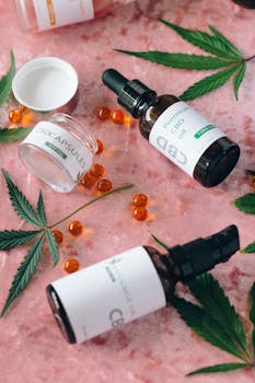 CBD Buzz: Exploring the World of CBD-Infused Beverages